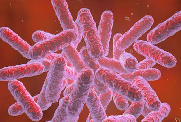 Bệnh nhân mắc bệnh Whitmore ở Thanh Hoá: Những biện pháp cứu chữa mới mở ra hy vọng