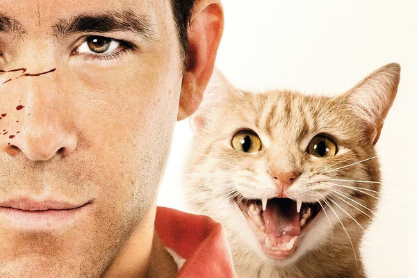 Ryan Reynolds, Jacki Weaver's 'The Voices' Offers Definitive Proof That  Cats Are Evil