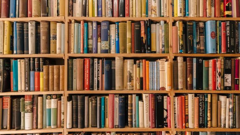 The Untold Story: How These Unassuming Books Are Shaping the Future of AI