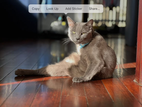 Unlock the Full Potential of Your iPhone with Eye-Catching Stickers!