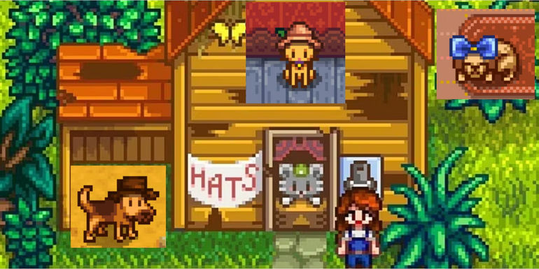 Stardew Valley Pets Stealing the Spotlight in Long-Awaited Update