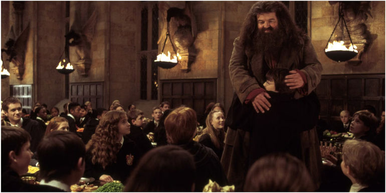 The Untold Connection Between Harry Potter and Hagrid: Unveiling the Secret Behind 'There's No Hogwarts Without You, Hagrid'