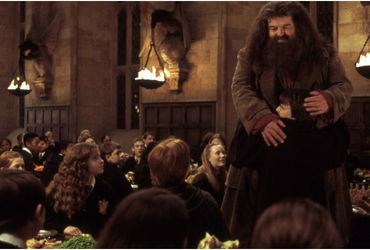 The Untold Connection Between Harry Potter and Hagrid: Unveiling the Secret Behind 'There's No Hogwarts Without You, Hagrid'