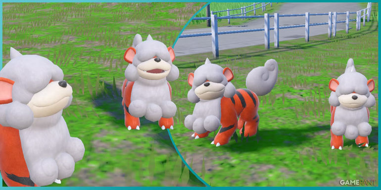The Ultimate Guide to Catching Hisuian Growlithe in Pokemon Scarlet & Violet