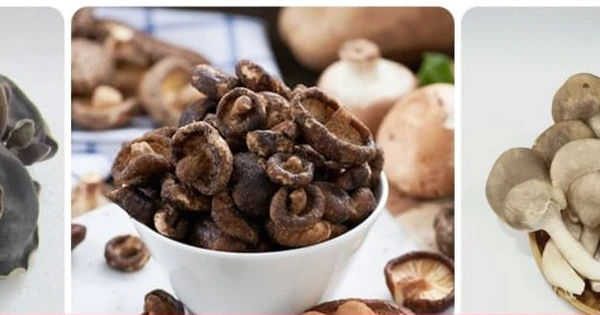 Nấm chống ung thư: 1 loại bí quyết sống lâu từ người Nhật