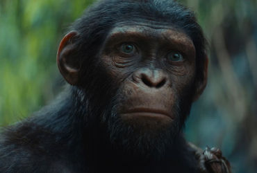 Revolutionizing the Planet of the Apes: Unveiling a New Era in the 'Kingdom' Trailer