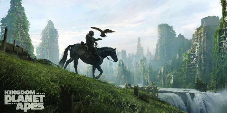 Decoding the Apes' Universe: Unraveling the Timelines