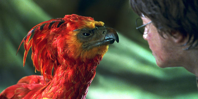 Fawkes in Harry Potter: An In-Depth Exploration