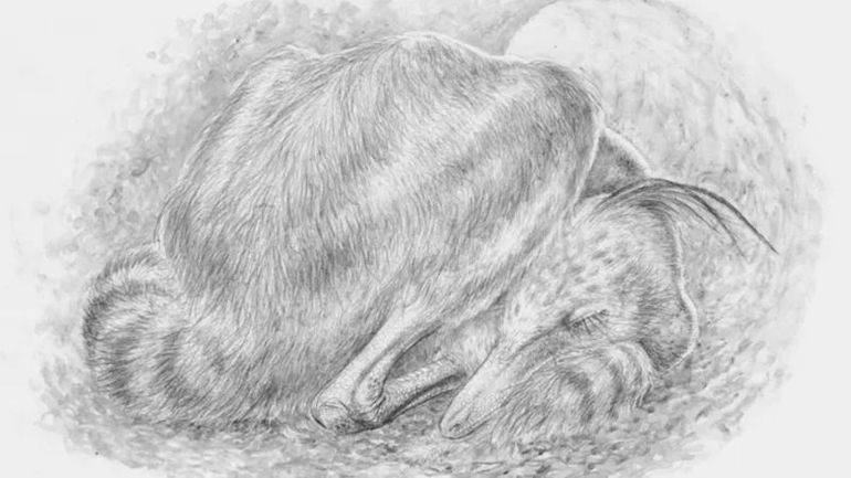 Uncovered Fossil Uncovers Shared Behavior between Dinosaurs and Birds