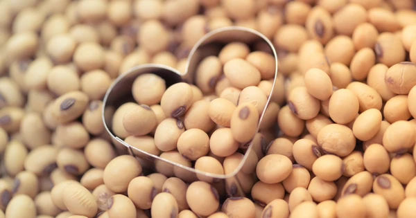 Dinh dưỡng từ đậu nành - Bảo vệ đáng tin cậy cho sức khỏe tim mạch