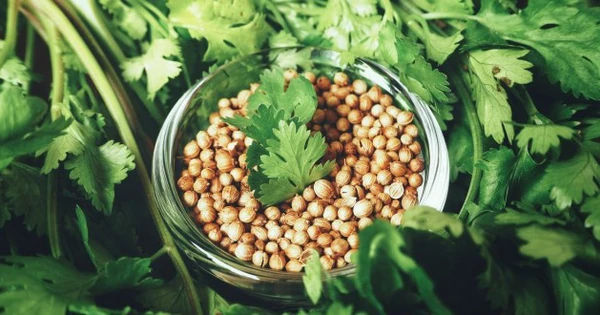 5 cách sử dụng rau mùi, ngò rí để làm sạch tế bào chết, làn da trẻ hóa, mang lại vẻ đẹp rạng ngời từ giờ cho đến Tết