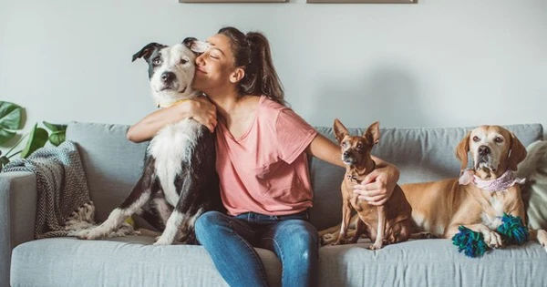 Nguy cơ lây bệnh từ việc ôm hôn chó mèo theo thói quen của người trẻ