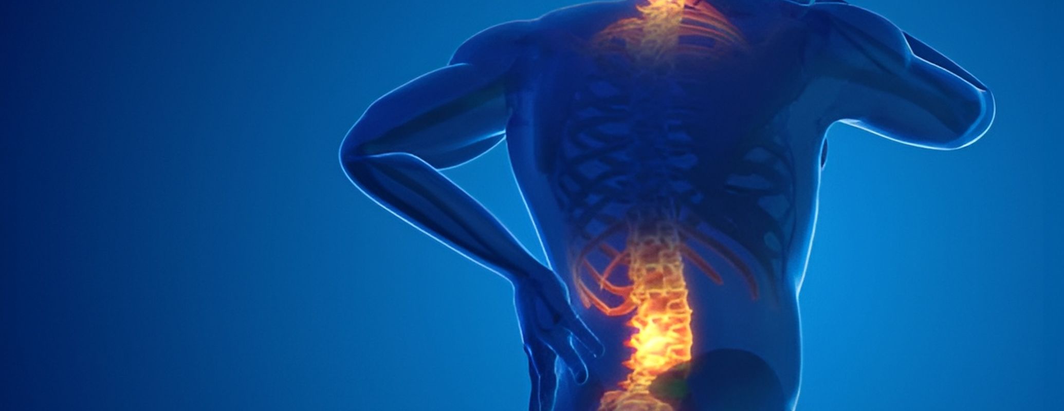 Spine Physiotherapy Treatment