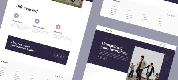 Insure Preview of landing page.