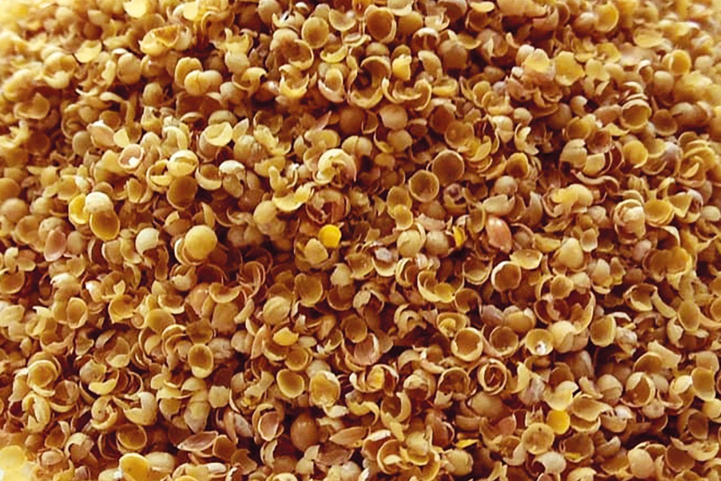 Yellow Mustard Bran
