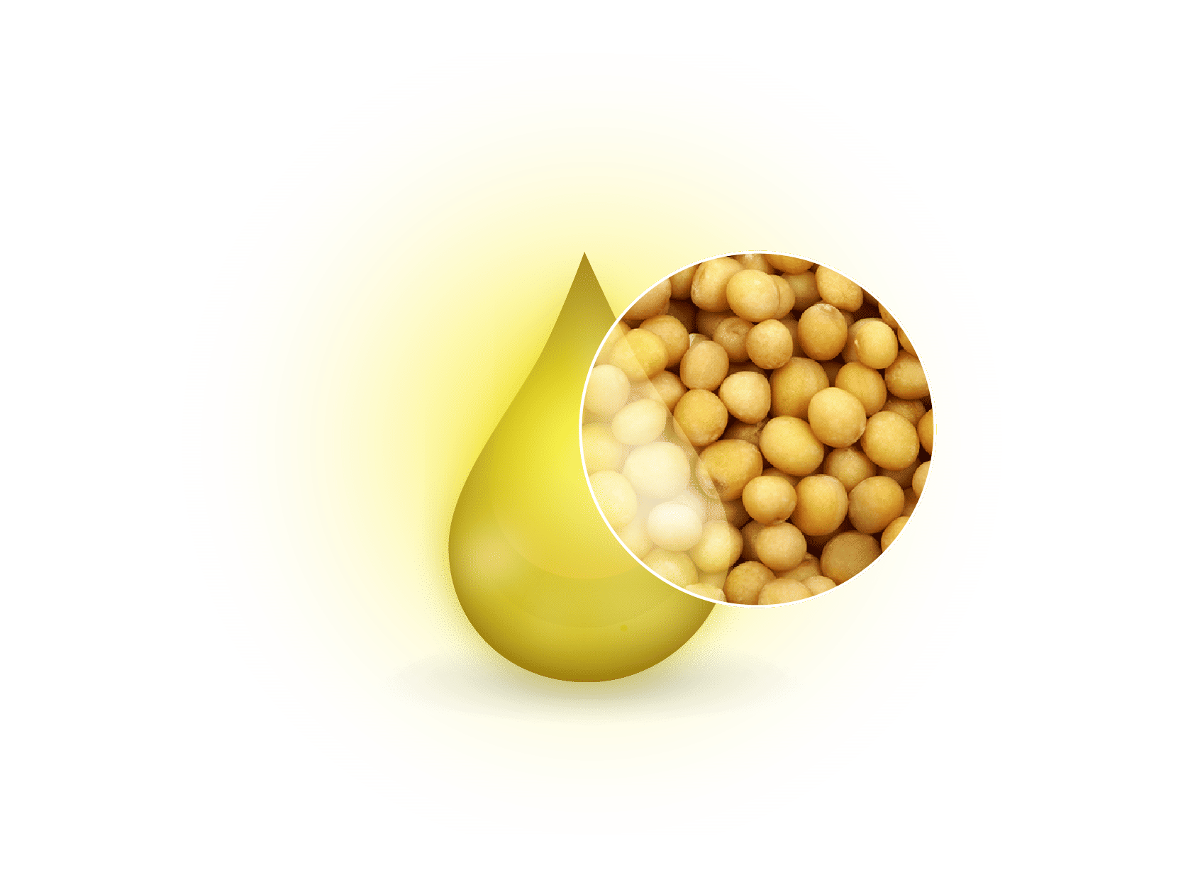 Mustard Seed Essential Oil