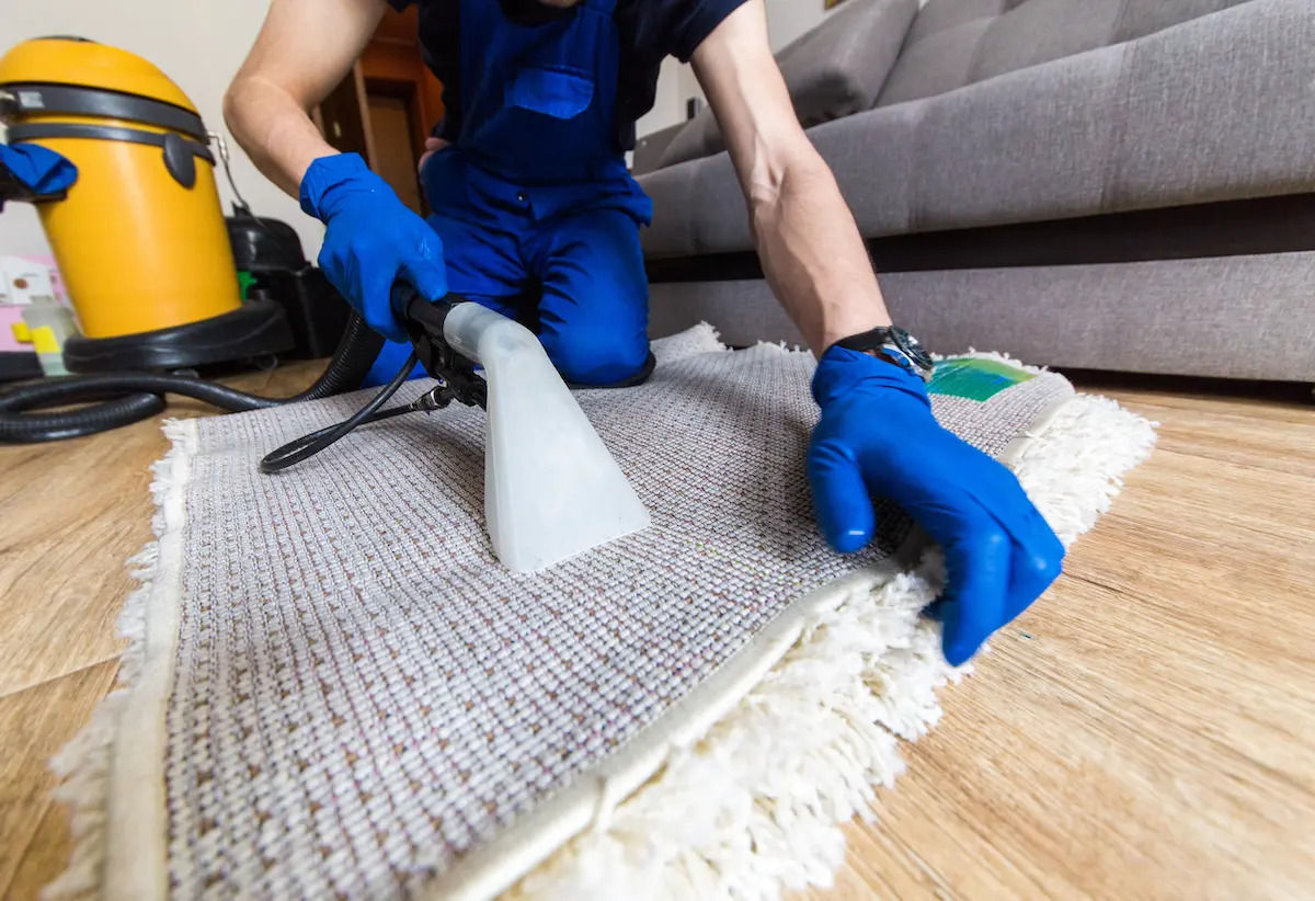 Commercial Carpet Cleaning in Monrovia, MD