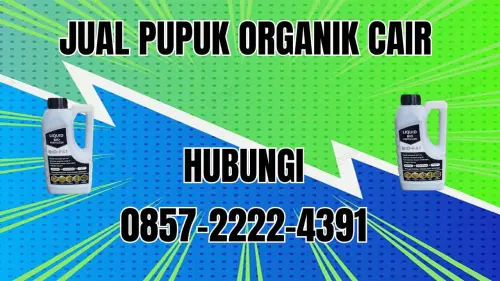 0857-2222-4391 Jual Pupuk Organik Cair Terdekat Rejang Lebong 0857-2222-4391 Jual Pupuk Organik Cair Terdekat Rejang Lebong