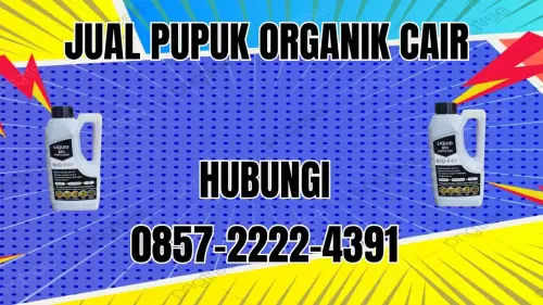 0857-2222-4391 Jual Pupuk Organik Cair Terdekat Lebong 0857-2222-4391 Jual Pupuk Organik Cair Terdekat Lebong