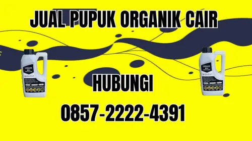 0857-2222-4391 Jual Pupuk Organik Cair Terdekat Kulon Progo 0857-2222-4391 Jual Pupuk Organik Cair Terdekat Kulon Progo