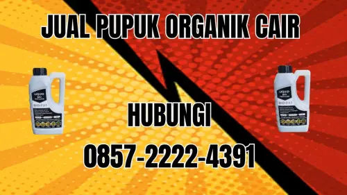 0857-2222-4391 Jual Pupuk Organik Cair Terdekat Seluma 0857-2222-4391 Jual Pupuk Organik Cair Terdekat Seluma