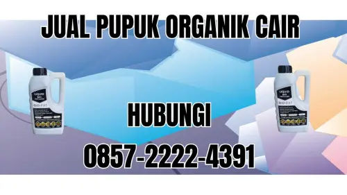 0857-2222-4391 Jual Pupuk Organik Cair Terdekat Gunung Kidul 0857-2222-4391 Jual Pupuk Organik Cair Terdekat Gunung Kidul