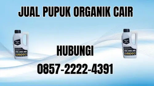 0857-2222-4391 Jual Pupuk Organik Cair Terdekat Sungai Penuh 0857-2222-4391 Jual Pupuk Organik Cair Terdekat Sungai Penuh