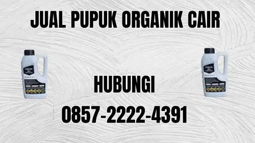 0857-2222-4391 Jual Pupuk Organik Cair Terdekat Tebo 0857-2222-4391 Jual Pupuk Organik Cair Terdekat Tebo