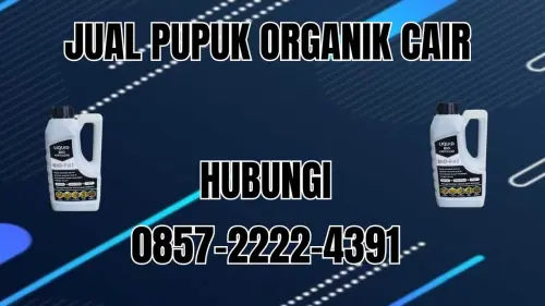 0857-2222-4391 Jual Pupuk Organik Cair Terdekat Kepahiang 0857-2222-4391 Jual Pupuk Organik Cair Terdekat Kepahiang