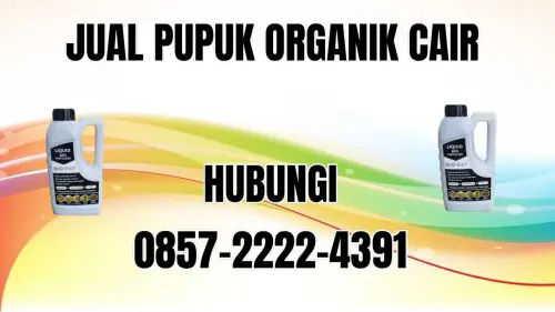 0857-2222-4391 Jual Pupuk Organik Cair Terdekat Bengkulu Tengah 0857-2222-4391 Jual Pupuk Organik Cair Terdekat Bengkulu Tengah