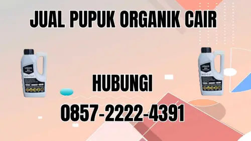 0857-2222-4391 Jual Pupuk Organik Cair Terdekat Bengkulu Utara 0857-2222-4391 Jual Pupuk Organik Cair Terdekat Bengkulu Utara