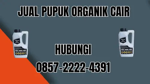 0857-2222-4391 Jual Pupuk Organik Cair Terdekat  Jakarta Pusat 0857-2222-4391 Jual Pupuk Organik Cair Terdekat  Jakarta Pusat