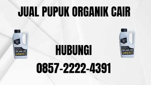 0857-2222-4391 Jual Pupuk Organik Cair Terdekat Sarolangun 0857-2222-4391 Jual Pupuk Organik Cair Terdekat Sarolangun