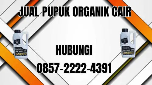0857-2222-4391 Jual Pupuk Organik Cair Terdekat Jakarta Timur 0857-2222-4391 Jual Pupuk Organik Cair Terdekat Jakarta Timur