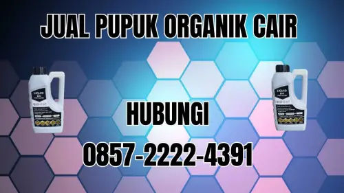 0857-2222-4391 Jual Pupuk Organik Cair Terdekat Batang Hari 0857-2222-4391 Jual Pupuk Organik Cair Terdekat Batang Hari