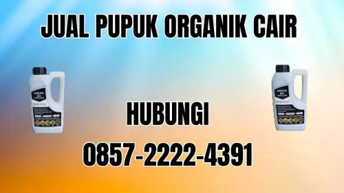 0857-2222-4391 Jual Pupuk Organik Cair Terdekat Pohuwato 0857-2222-4391 Jual Pupuk Organik Cair Terdekat Pohuwato