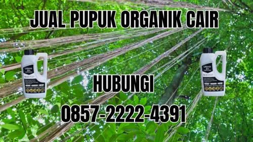 0857-2222-4391 Jual Pupuk Organik Cair Terdekat Bengkulu 0857-2222-4391 Jual Pupuk Organik Cair Terdekat Bengkulu