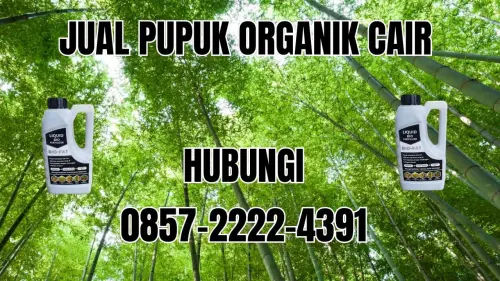 0857-2222-4391 Jual Pupuk Organik Cair Terdekat Merangin 0857-2222-4391 Jual Pupuk Organik Cair Terdekat Merangin