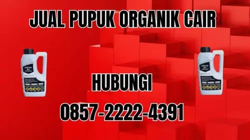 0857-2222-4391 Jual Pupuk Organik Cair Terdekat Jakarta Utara 0857-2222-4391 Jual Pupuk Organik Cair Terdekat Jakarta Utara