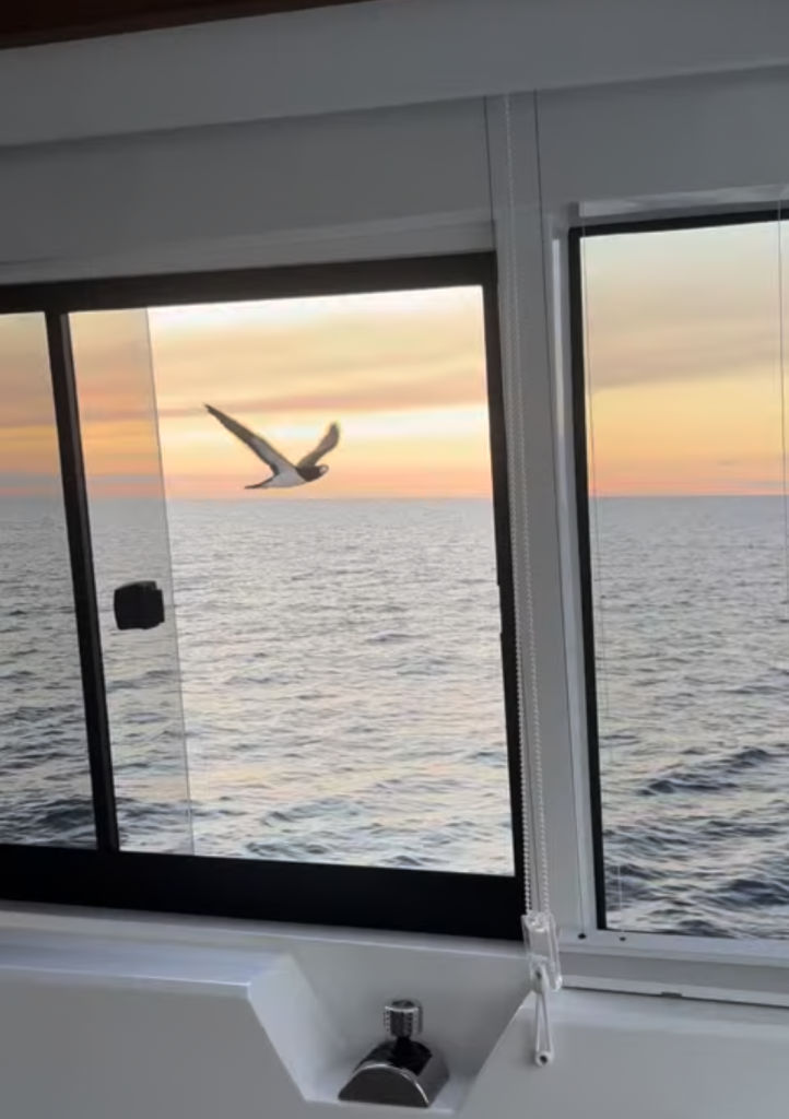 ILIAD Catamarans Booby Bird australia noumea