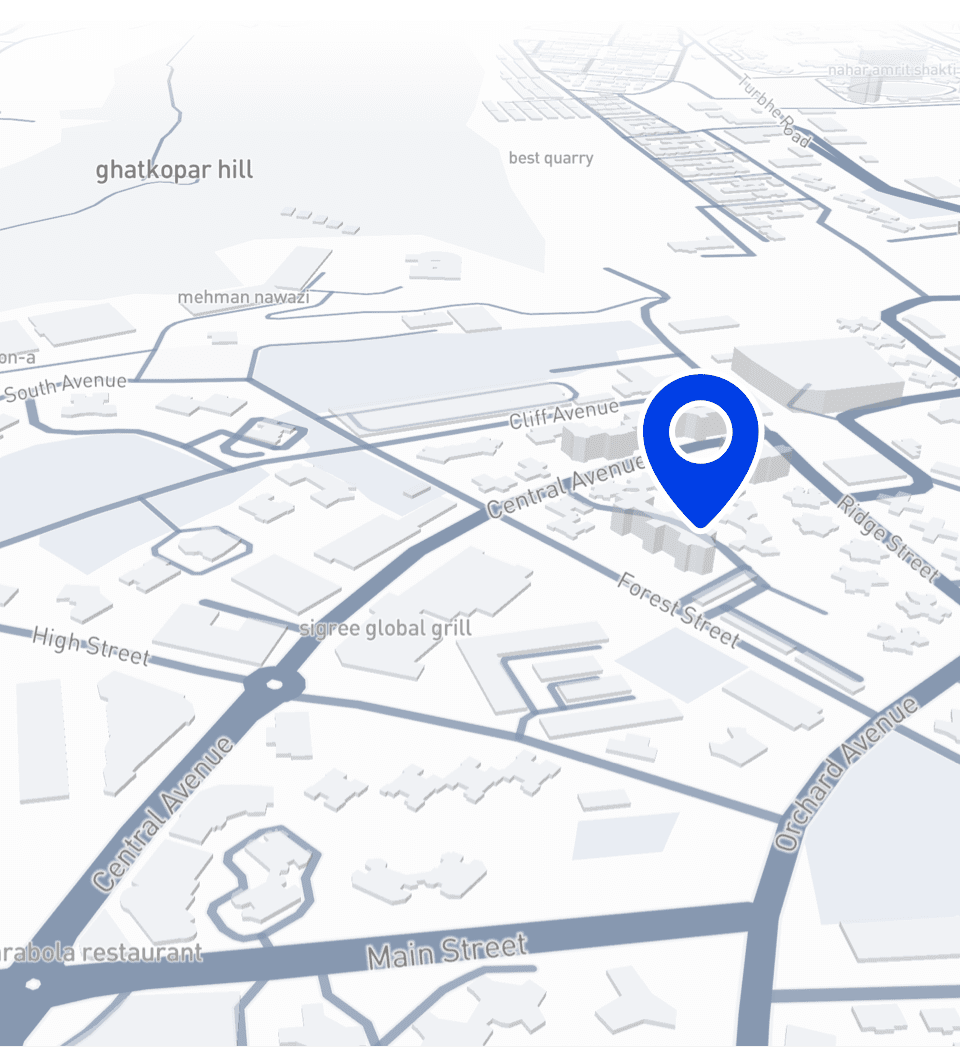 mobile viewport map