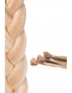 Bonding Extensions in Honig Aschblond