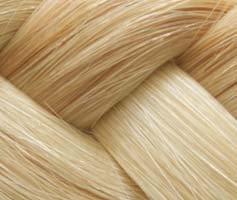 Tape Hair Aschblond 61316