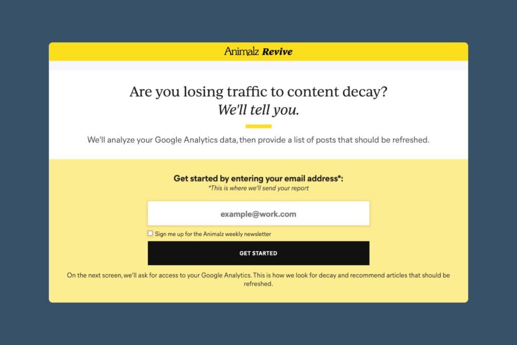 Animalz Revive - Free SEO Tools