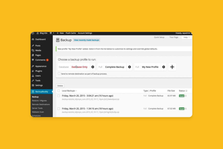 screenshot of BackupBuddy WordPress plugin in the backend