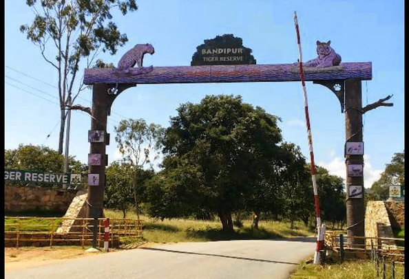 Bandipur national park
