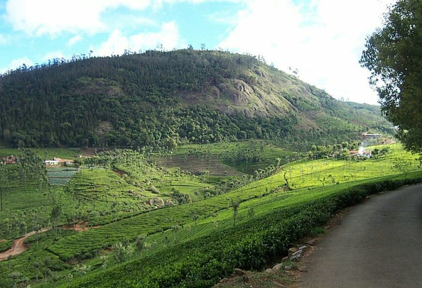 Coonoor