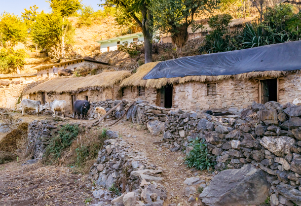 Trekking trail from Pantwari