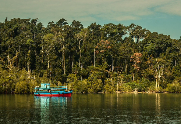 Baratang island andaman