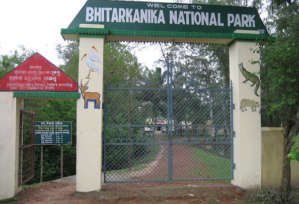 Bhitarkanika